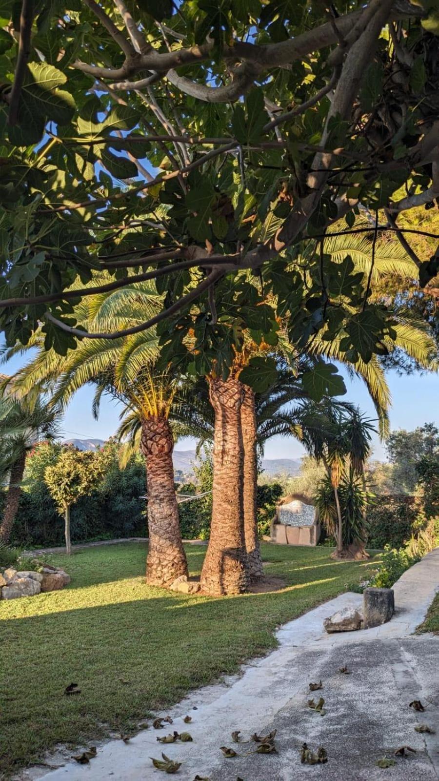Ca Tosca Villa Javea Exterior photo